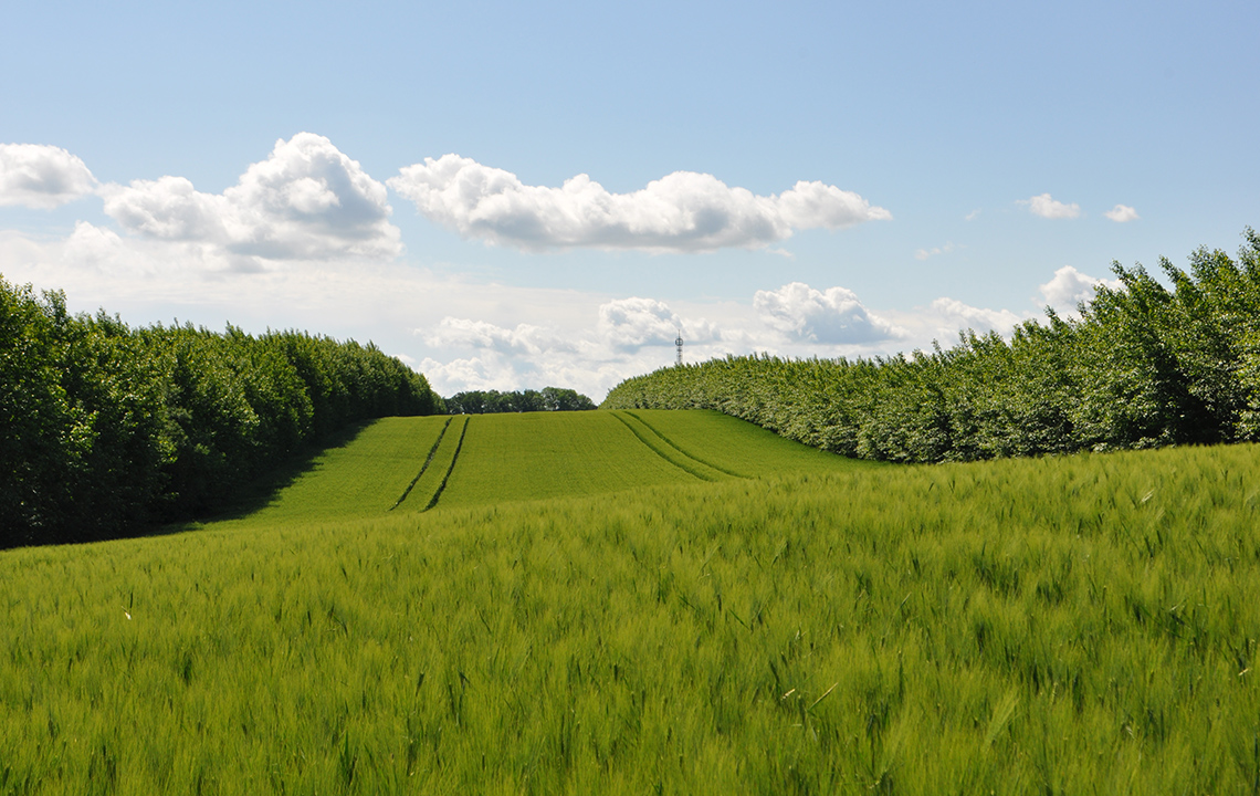 Thüringer Bauernverband 