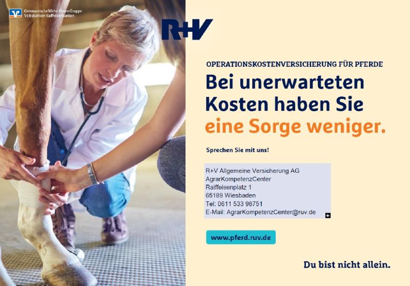 Pferd und Hund rundum gesund