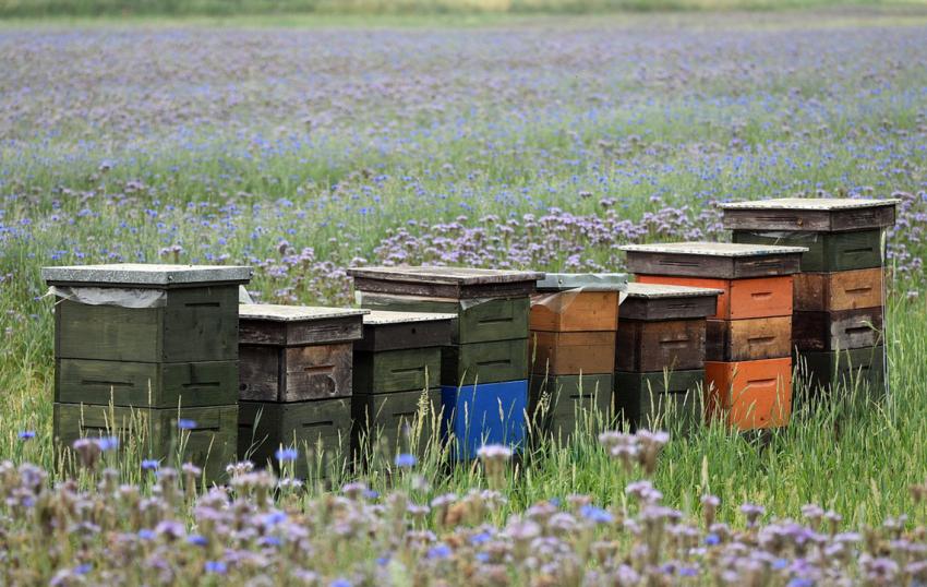 Medieneinladung: 9. Oßmennstedter Gespräche