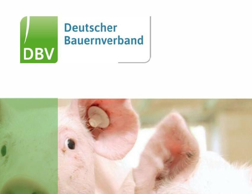 DBV-Veredelungstag 2025