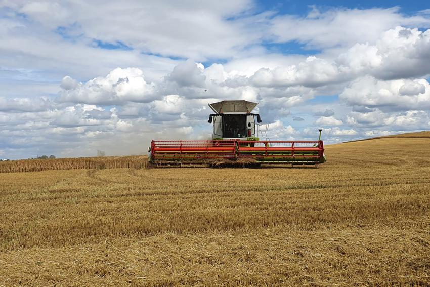 Erntebeginn 2021: Wechselhaftes Wetter erschwert den Erntestart in Thüringen
