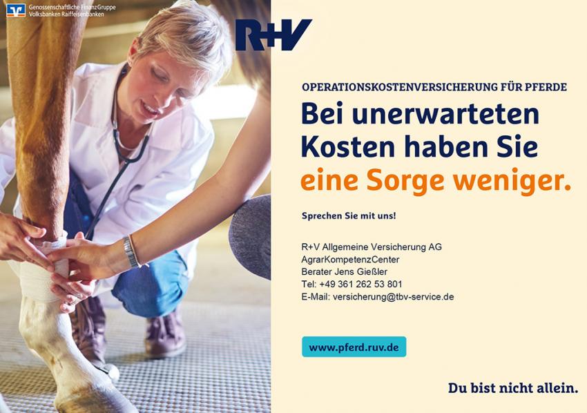 Pferd und Hund rundum gesund