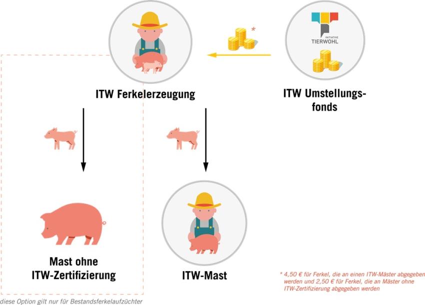 ITW: Neue Registrierungsphase für Ferkelaufzucht startet im November