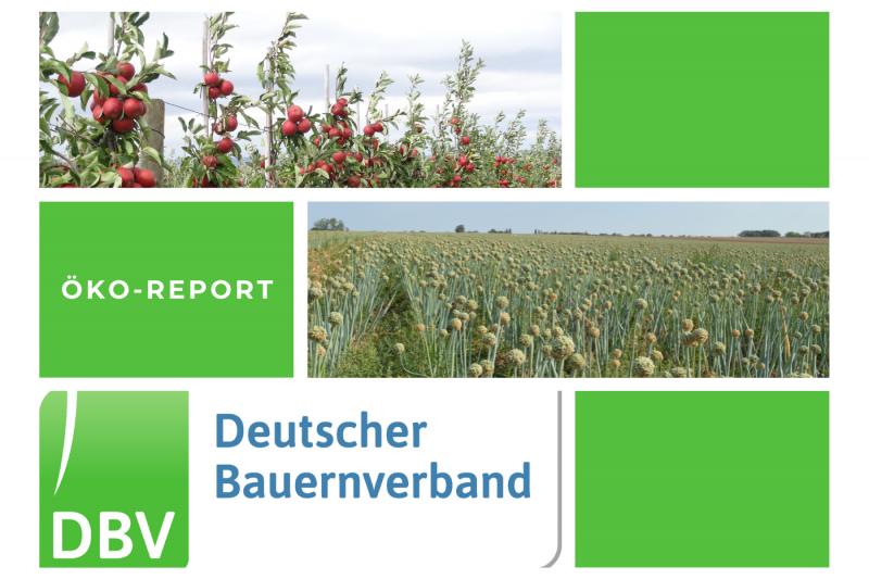 DBV Öko Report 04/2025