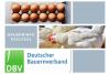 DBV Bauerninfo Geflügel 49/2022