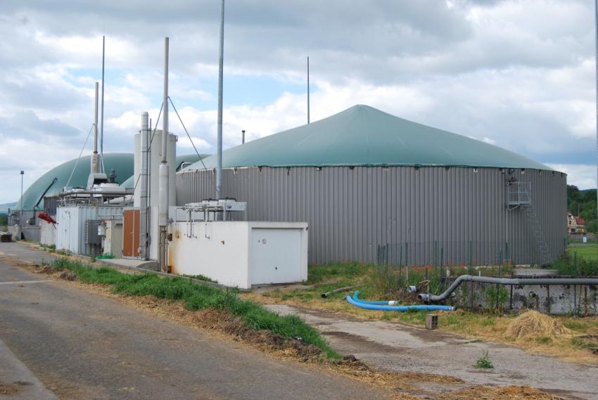 Biogas und Artenvielfalt