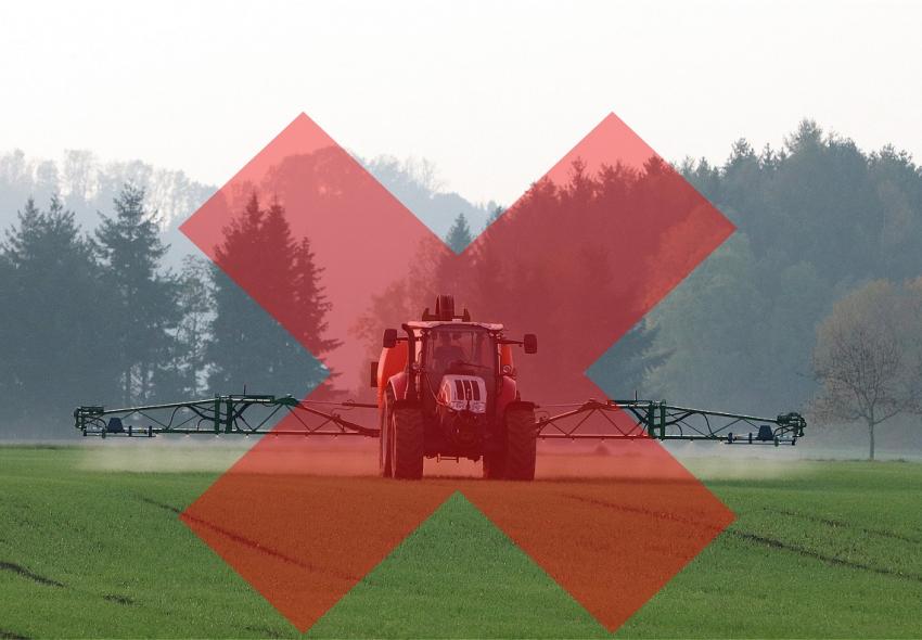 Kleine Erfolge bei der Diskussion um die EU-Pflanzenschutzreduktionsstrategie