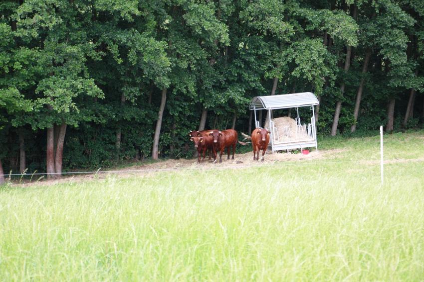 COPA-Umfrage: Reform der Öko-VO