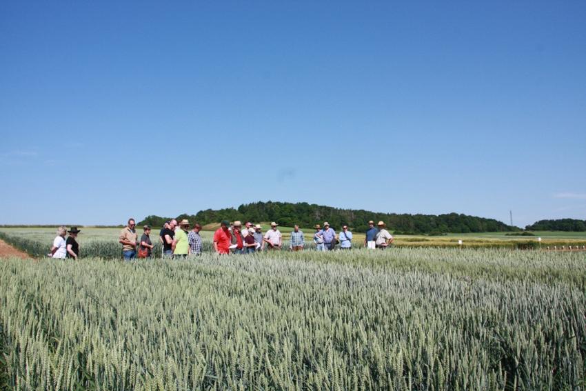 Informationen zum aktuellen Verhandlungsstand – Neue Züchtungsmethoden