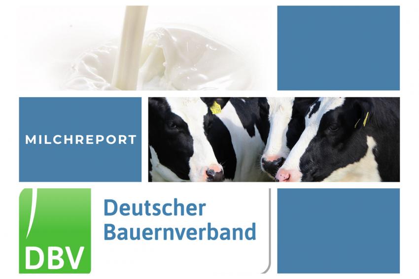 DBV Milchinfo 44/2025