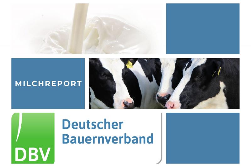 DBV Milchinfo 38/2025