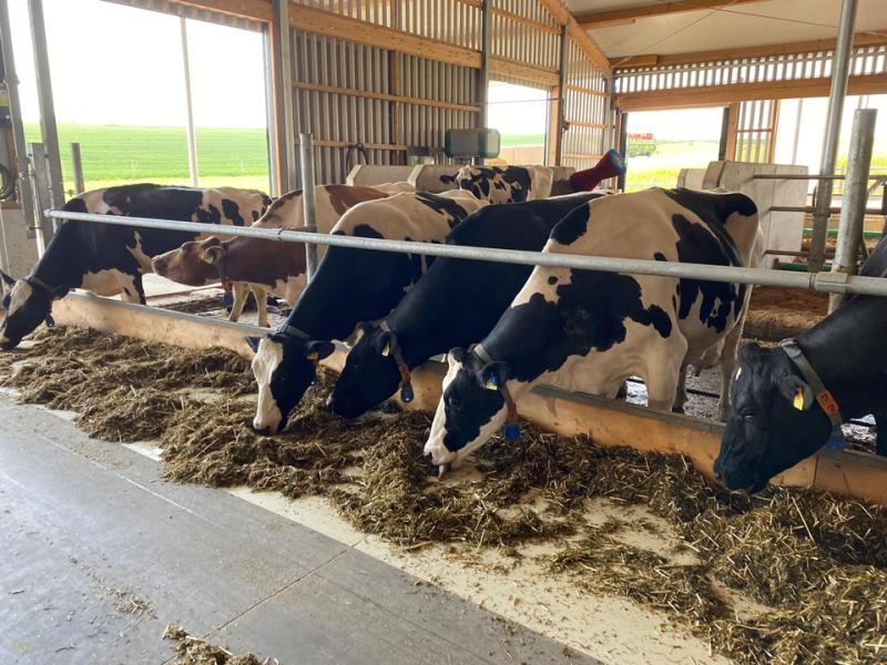 Erfahrungsaustausch zum Antibiotikaminimierungskonzept