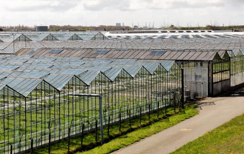 Züchtungsfortschritt sichern – Nachbau melden